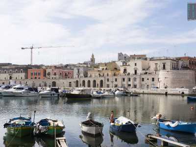 Sono le 10 quando giungiamo sul porticciolo di Bisceglie, luogo pittoresco dove gli ambientalisti del wwf stanno preparando la "spedizione"